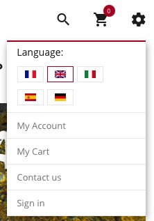 Website language change